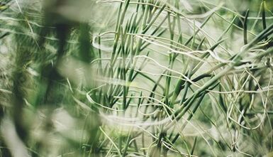 Өз қолыңызбен сәттілік тілейміз